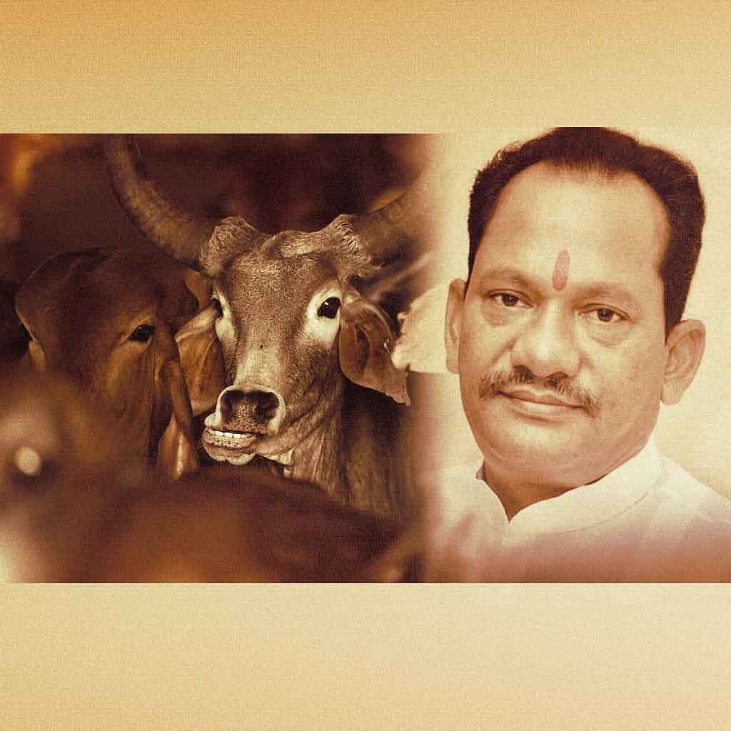 ಗೋಹತ್ಯೆ ನಿಷೇಧ ಕಾಯ್ದೆ ಉಲ್ಲಂಘನೆ; ರಾಜ್ಯದಲ್ಲಿ 413, ಕೋಲಾರದಲ್ಲಿ 65 ಪ್ರಕರಣ ದಾಖಲು